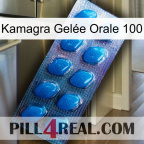 Kamagra Gelée Orale 100 viagra1